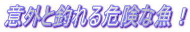 ӊOƒނ댯ȋI