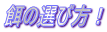 ȃIѕI 